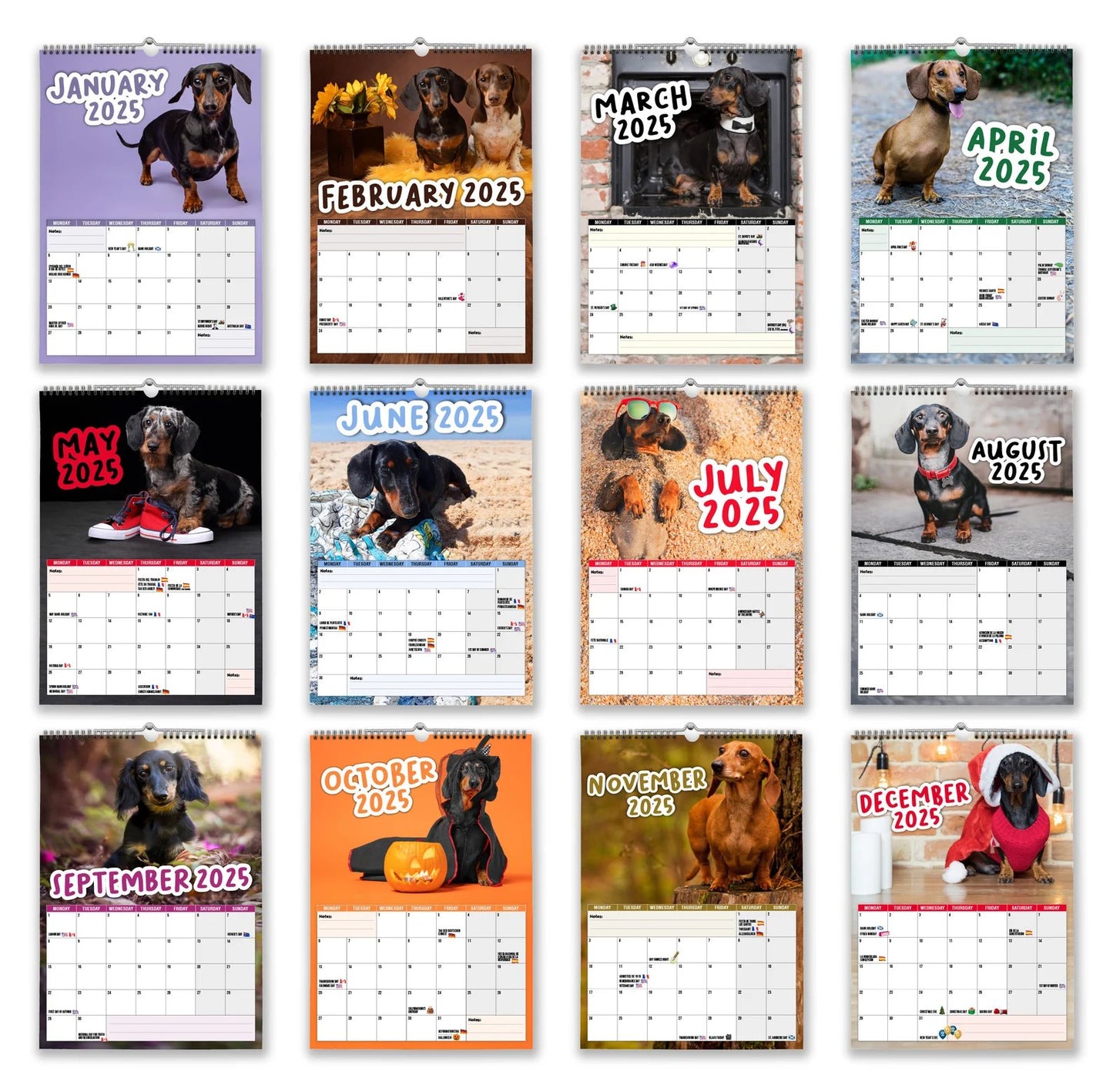 Cheeky Dachshunds - 2025 Wall Calendar