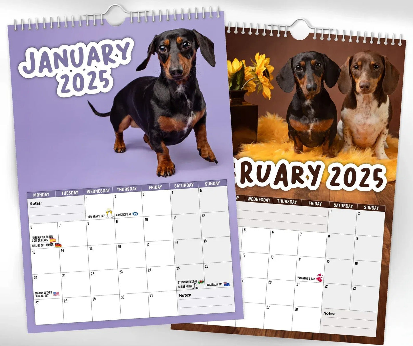 Cheeky Dachshunds - 2025 Wall Calendar