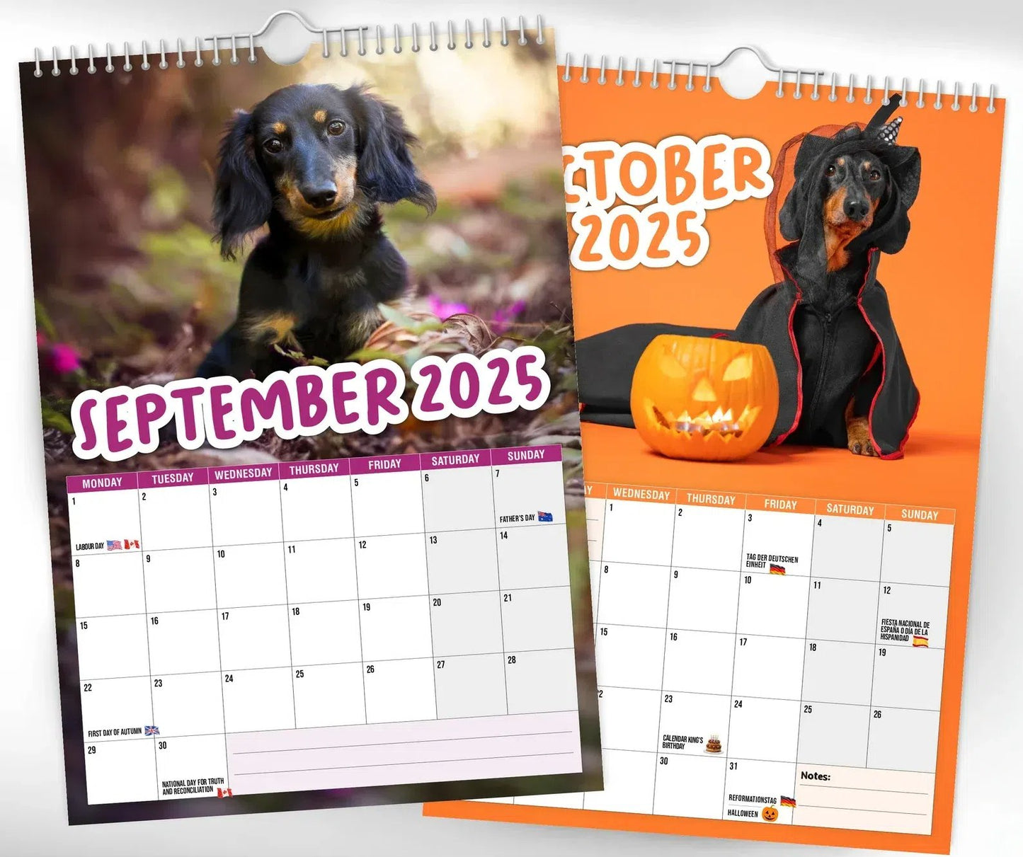 Cheeky Dachshunds - 2025 Wall Calendar